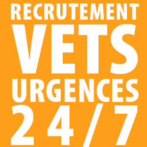 Vétérinaires URGENCES 24/7